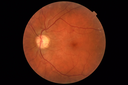 pdr-vh_brric_012418_03.PNG