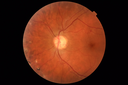 pdr-vh_brric_012418_04.PNG