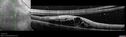 pdr-vh_brric_012418_05.jpg