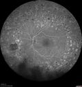 pdr-vh_brric_012418_12.jpg