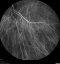 Filename=srfluid_pason_042318_29.jpg
Filesize=344KiB
Dimensions=1536x1636
Date added=Oct 29, 2020 srfluid_pason_042318_29.jpg